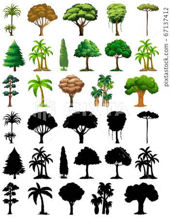 Set of plant and tree with its silhouette Set of plant and tree with its silhouette 67137412