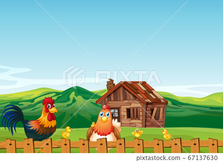 Farm scene in nature with barn and chicken Farm scene in nature with barn and chicken 67137630