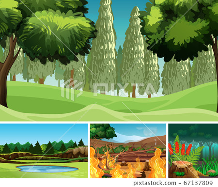 Four different natural disaster scenes of forest Four different natural disaster scenes of forest 67137809