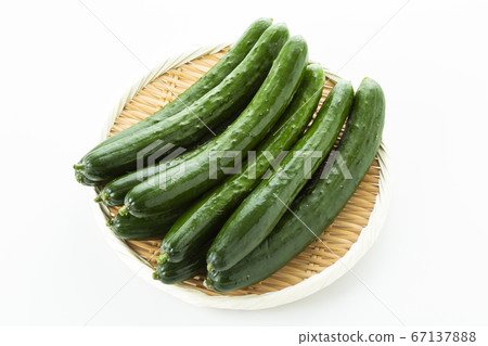 Cucumber Cucumber 67137888