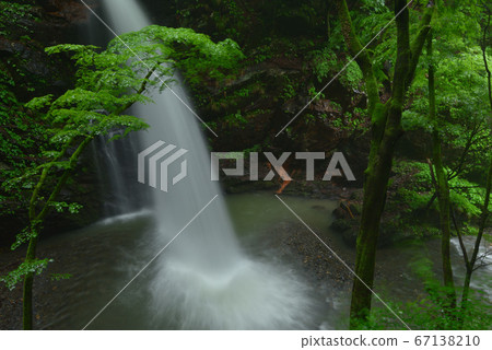 Futado Waterfall in the Hashido River, which has plenty of water in the rainy season Futado Waterfall in the Hashido River, which has plenty of water in the rainy season 67138210