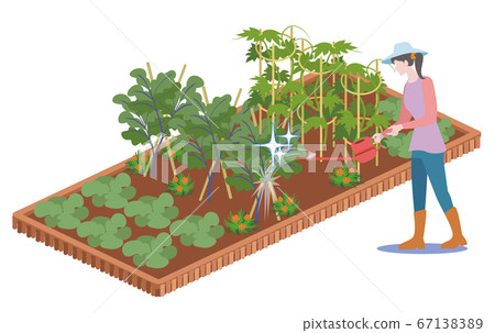 Kitchen garden-watering 67138389