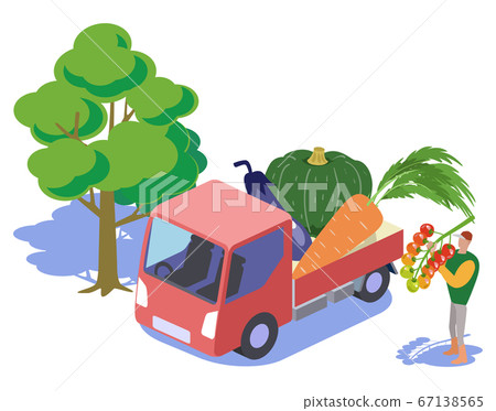 Kitchen garden-transporting vegetables by light tiger Kitchen garden-transporting vegetables by light tiger 67138565