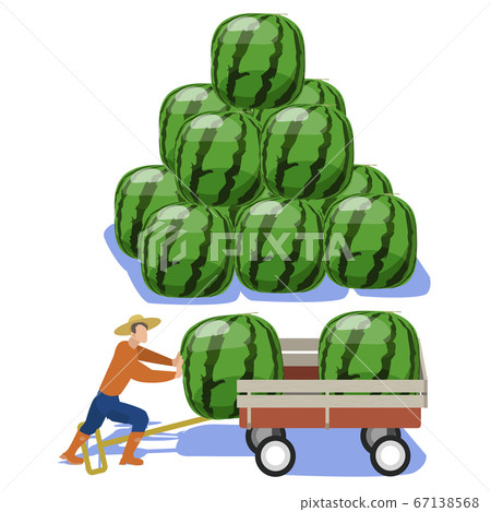 Home garden-transporting watermelons in a rear cart 67138568