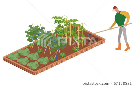 Kitchen garden-men making ridges with a hoe 67138581