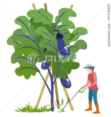 Kitchen garden-woman mowing grass with electric mower Kitchen garden-woman mowing grass with electric mower 67138587