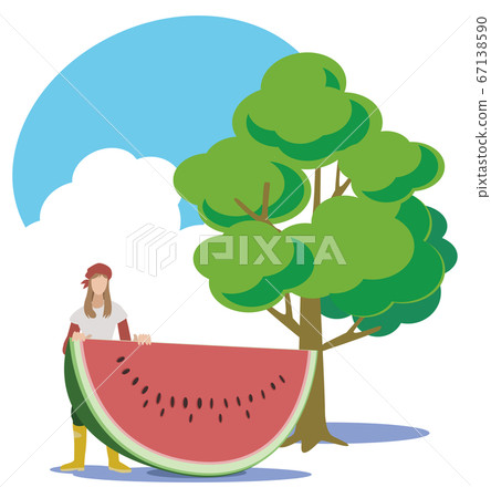 Kitchen garden-woman harvesting giant watermelon 67138590