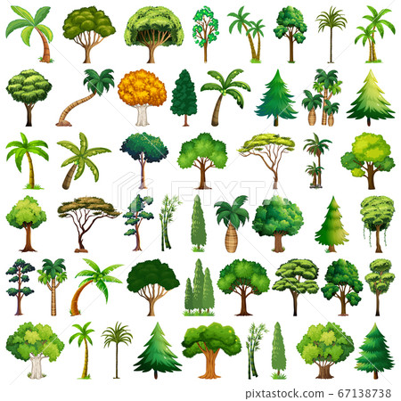 Set of variety plants and trees 67138738