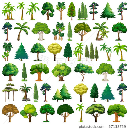 Set of variety plants and trees Set of variety plants and trees 67138739