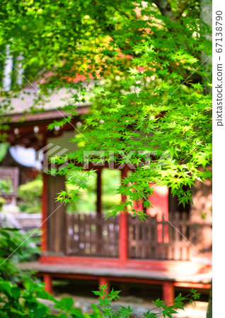 Chomei-ji Temple with longevity 67138790