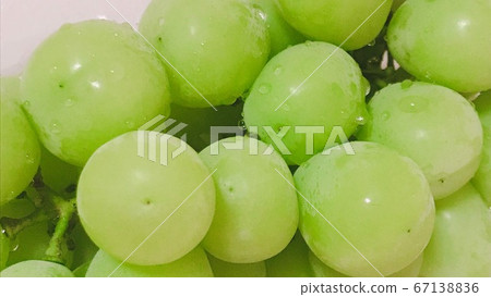 Shine Muscat Shine Muscat 67138836