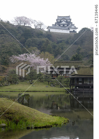 彥根城堡 67139446