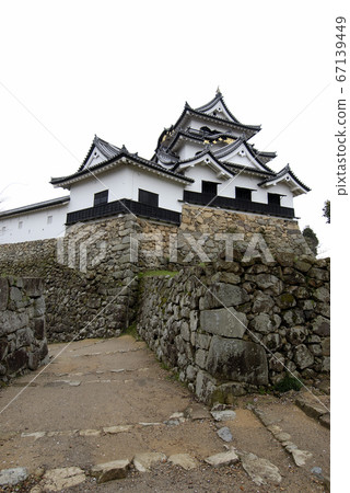 Hikone castle Hikone castle 67139449