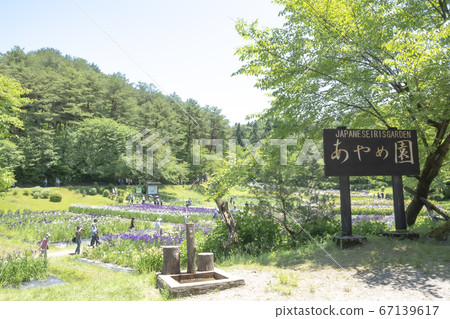 柴田泉野公園A庭花園(新潟) 柴田泉野公園A庭花園(新潟) 67139617