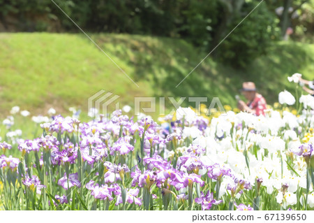柴田泉野公園A庭花園(新潟) 柴田泉野公園A庭花園(新潟) 67139650