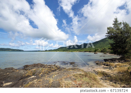 Okinawa Prefecture Ishigaki Island Nagura Anbal 67139724