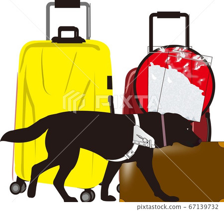 海關 海關 67139732