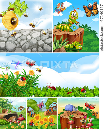 Set of different insects living in the garden Set of different insects living in the garden 67140127