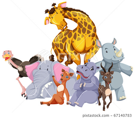 Group of wild animal 67140783