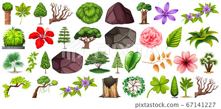 Set of different nature isolated on white-插圖素材 [67141227] - PIXTA圖庫