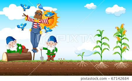 Gnomes and scarecrow cartoon style with corn farm 67142684