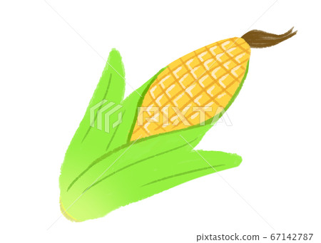 corn  67142787