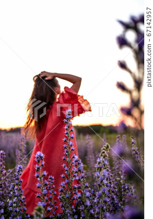 Young pretty woman wearing red dress posing in fields with violet flowers outdoor Young pretty woman wearing red dress posing in fields with violet flowers outdoor 67142957