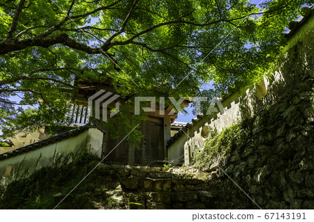 岡山縣高橋市臂門碧丘松山城 岡山縣高橋市臂門碧丘松山城 67143191