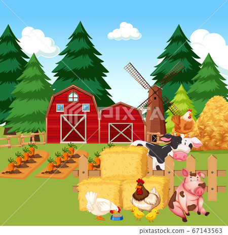 Farm scene with farm animals on the farm 67143563