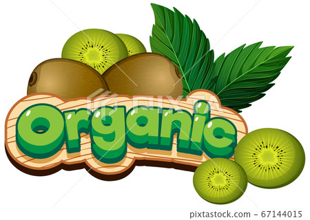 Font design for word organic with fresh kiwi fruit Font design for word organic with fresh kiwi fruit 67144015