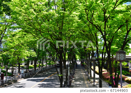 Fresh green business district Fresh green business district 67144903
