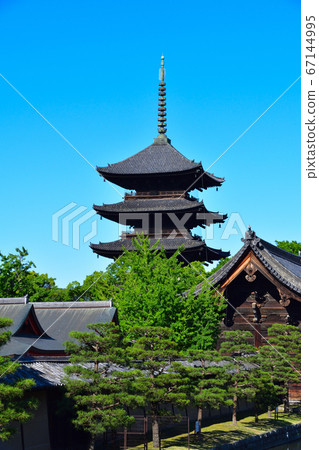 京都Toji 67144995