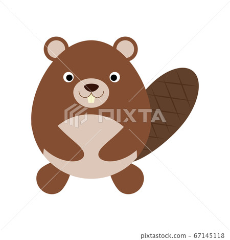 Cute flat desing beaver isolate  67145118