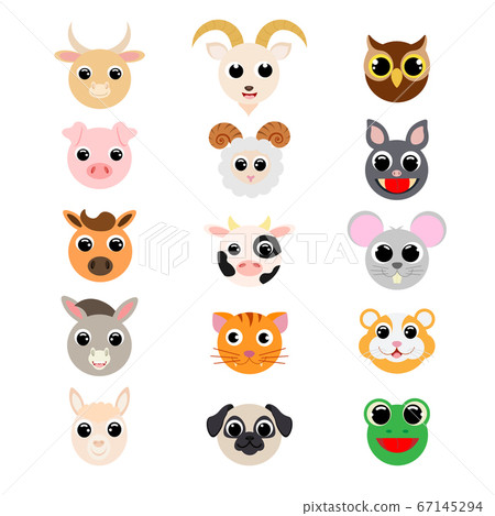 Funny cute domestic animals heads. 67145294