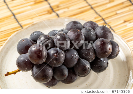 巨峰與水滴。在背景窗簾中的夏天圖像。 巨峰與水滴。在背景窗簾中的夏天圖像。 67145506