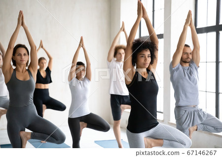 Young multiethnic diverse people in activewear standing in tree pose. Young multiethnic diverse people in activewear standing in tree pose. 67146267