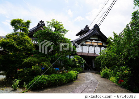 Hyogo Takarazuka Obamajuku Kosetera (Obama Gobo) (early summer) Hyogo Takarazuka Obamajuku Kosetera (Obama Gobo) (early summer) 67146388