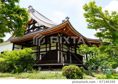 Hyogo Takarazuka Obamajuku Kosetera (Obama Gobo) (early summer) Hyogo Takarazuka Obamajuku Kosetera (Obama Gobo) (early summer) 67146389