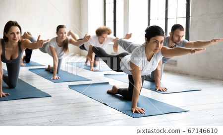 Active multiracial people doing parsva balasana indoors. Active multiracial people doing parsva balasana indoors. 67146610