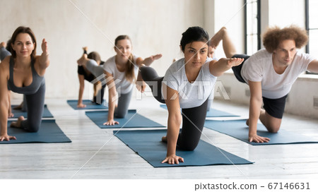 Focused happy mixed race young people doing bird dog pose. Focused happy mixed race young people doing bird dog pose. 67146631