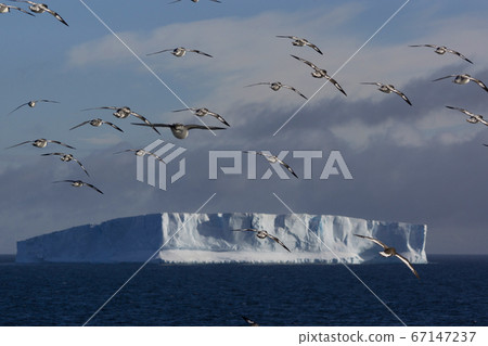 南極冰山 67147237