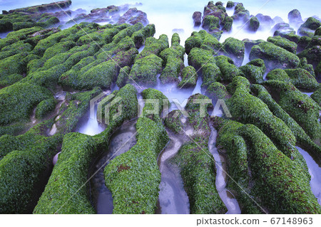 海岸邊的綠石槽(美不勝收的海岸特殊景觀) 67148963