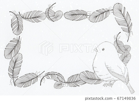手工繪製的插圖的鳥和羽毛的框架 67149836