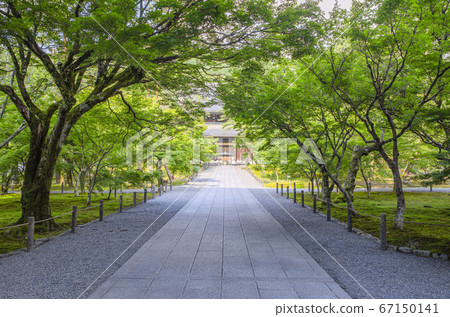 Nanzenji Temple in Kyoto 67150141