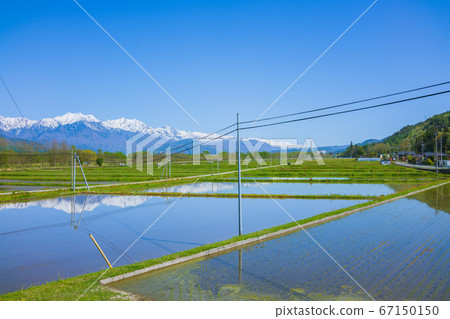 Paddy field and Northern Alps [early summer] 67150150