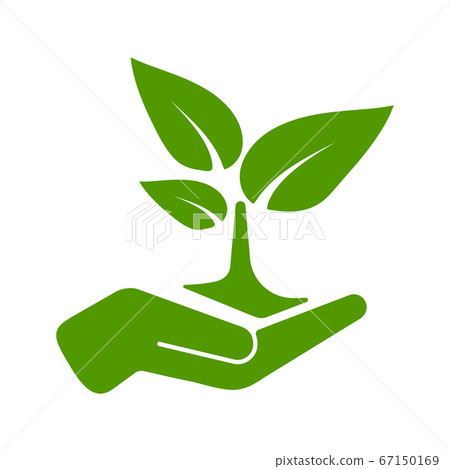 Green tree growing in hand vector illustration. 67150169