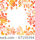 Autumn leaves in autumn 67150394