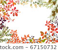 Autumn leaves in autumn 67150732