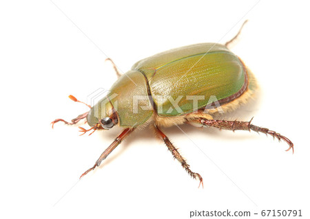 Awesome glass Awesome glass 67150791