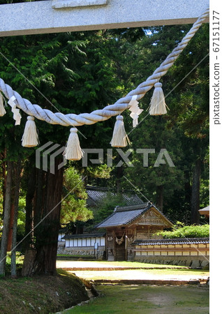 田島國宮宮阿波神社 田島國宮宮阿波神社 67151177